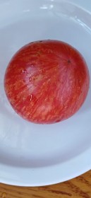 Sweet Carneros Pink paradicsom - Paradicsom különlegességek az Egzotikus Növények Stúdiója kínálatából